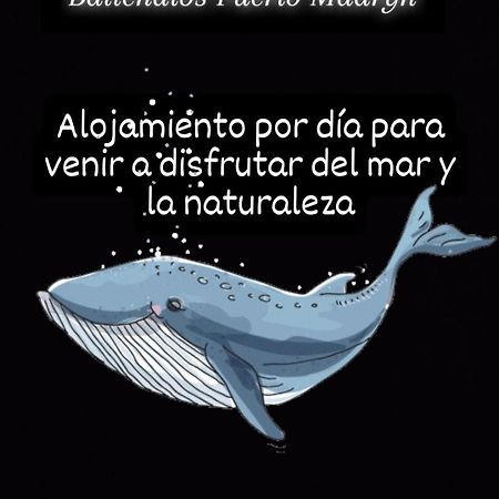 Ballenatos Madryn Puerto Madryn Bagian luar foto