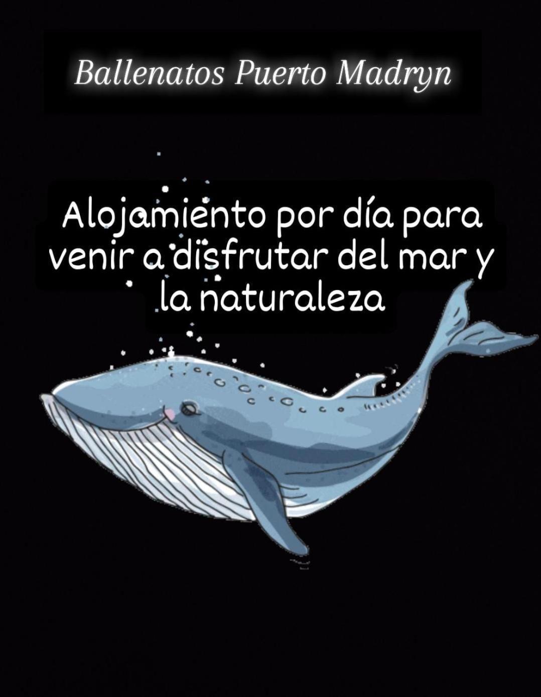 Ballenatos Madryn Puerto Madryn Bagian luar foto